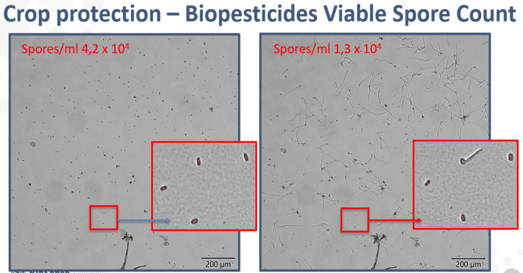 Visualization of spore count of biopesticides with oCelloScope